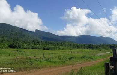 Imagem 16: Ótima oportunidade Fazenda no itã. 240 hectares