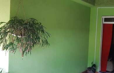 Imagem: A casa possui 3 Dormitórios, 1 Banheiro, 3 Vagas na garagem