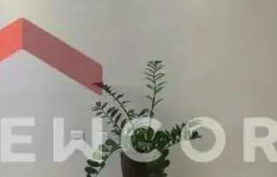 Imagem 11: Casa de condomínio em Rua Acerbal Pinto Malheiros - Chácara Mariléa...