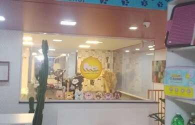 Imagem 5: Alugo ou Passo o Ponto Banho e Tosa + Consultório Veterinário - Bela Vista/Centro 90m²