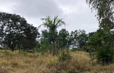 Imagem 4: Terreno mil metros em Itatiaiuçu