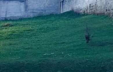 Imagem: O terreno possui 365m² de Área e está localizado em Loteamento