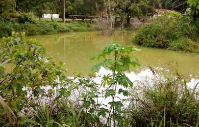 Imagem 9: Vendo fazenda entre são mateus e água limpa
