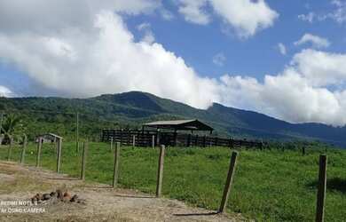 Imagem 2: Ótima oportunidade Fazenda no itã. 240 hectares