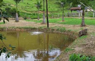 Imagem 12: Fazenda em guaratiguetá s.p 260 hectares 6.000.000.00 tay