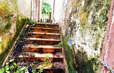 Imagem 7: Vende/Lote/Terreno/Ramos Ferreira/Bairro da Aparecida/Centro/Manaus-AM/210m²