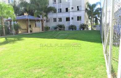 Imagem 12: Londrina - Apartamento Padrão - Gleba Fazenda Palhano