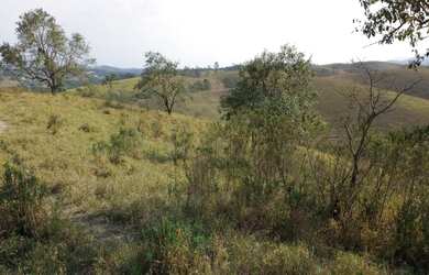 Imagem 5: Lote/Terreno para venda com 1000 metros quadrados em Ouro Fino - Santa Isabel - SP