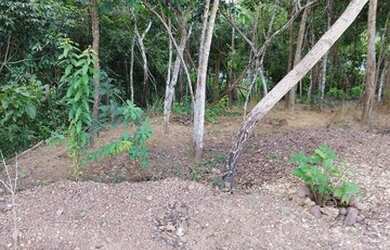 Imagem 7: Chácara Santa Luzia. Piscina, Churrasqueirae4.000m² de Área