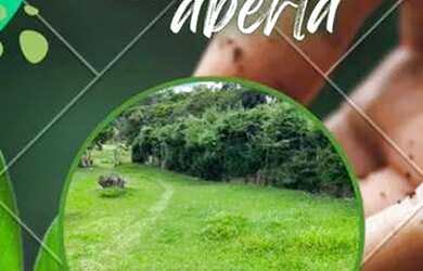 Imagem: O terreno e está localizado em Centro, Atibaia à venda por