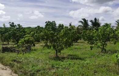 Imagem: O terreno possui 1.200m² de Área e está localizado em Juazeiro