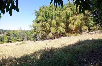 Imagem 7: Fazenda para comprar Zona Rural Três Marias