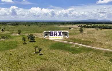 Imagem 7: Fazenda à venda ou arrendamento agrícola em Flores de Goiás