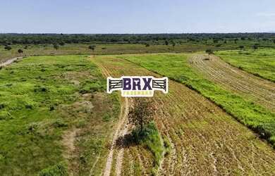 Imagem 15: Fazenda à venda ou arrendamento agrícola em Flores de Goiás