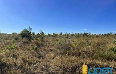 Imagem 7: Excelente fazenda dupla aptidão com 576,20 hectares à venda em Brasilândia...