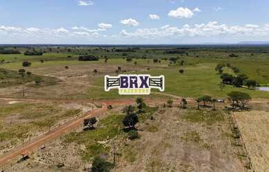Imagem 14: Fazenda à venda ou arrendamento agrícola em Flores de Goiás