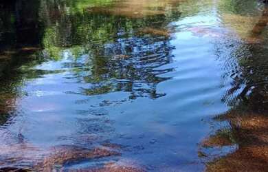 Imagem: A chácara possui 1.200m² de Área e está localizado em Plano