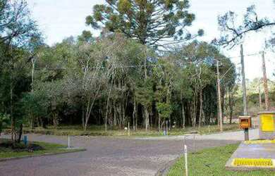 Imagem: O terreno possui 996-0m² de Área e está localizado em Canela