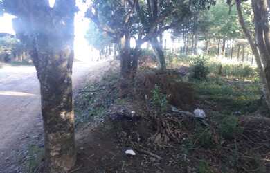 Imagem 5: Terreno. 1.000m² de Área