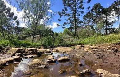 Imagem: A fazenda possui 470.000m² de Área e está localizado em