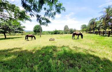 Imagem: A fazenda está localizado em Rio Quente, GO à venda por R$6.800.000