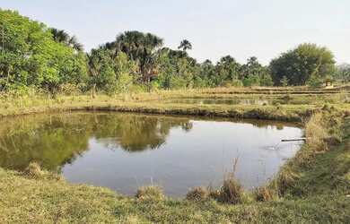Imagem: A fazenda possui 94400m² de Área e está localizado em Segismundo