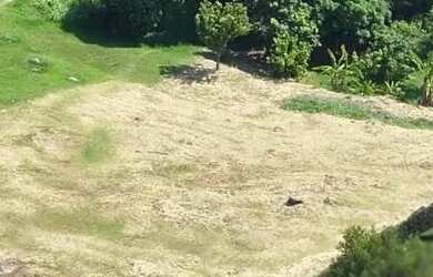 Imagem: O terreno possui 3.000m² de Área e está localizado em Pinheiro