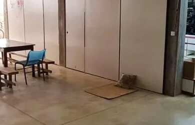 Imagem 11: Galpão em Goianira Galpão / Depósito à Venda, 780.00 por R$ 2500000.00...