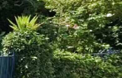 Imagem: O terreno possui 170m² de Área e está localizado em Cidade