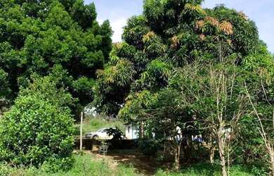 Imagem: A fazenda possui 80m² de Área e está localizado em Rio Pardo