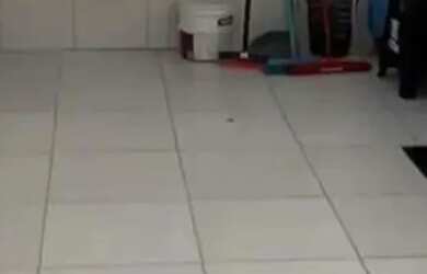 Imagem 9: Casa em Residencial Fechado/ Parque Dez - Próx da Av das Torres