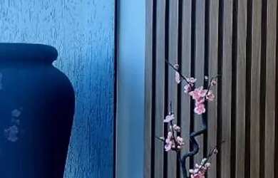 Imagem 14: Casa 407 sul 990mil. Piscina, Guarda roupa, 140m² de Áreae2 Vagas na...