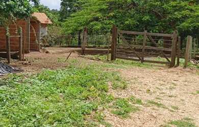 Imagem: VENDO TERRENO RURAL - 11,5 HECTARES 40 KM DE MONTES CLAROS