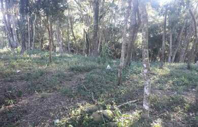 Imagem 3: Terreno. 1.000m² de Área