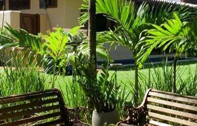 Imagem 3: Linda Casa em Praia do Forte no Porto de Baleias TEMPORADA