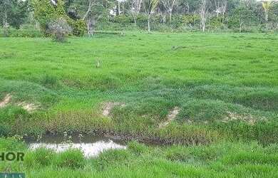 Imagem: A fazenda possui 127m² de Área e está localizado em Jaru