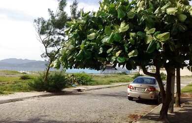 Imagem 3: Casa na Praia do Foguete. Churrasqueirae5 Dormitórios