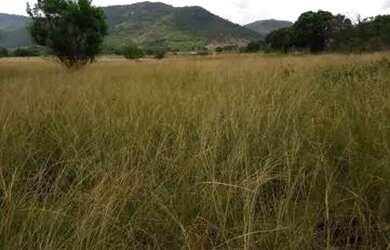 Imagem 7: Fazenda com rio em Iaçu-BA