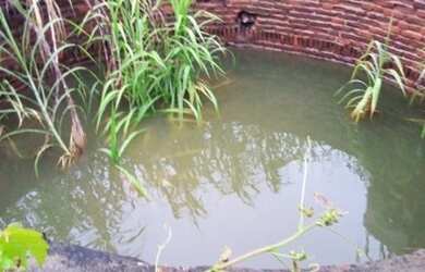 Imagem 4: Vendo terreno fazenda. 340.000m² de Área