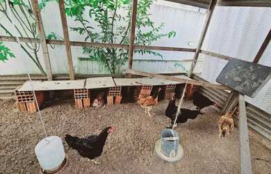 Imagem 11: Aluguel de Casa por DIÁRIA no Greenville