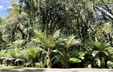 Imagem: O terreno possui 1.093m² de Área e está localizado em Gramado