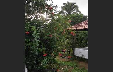 Imagem 10: Fazenda. Varanda