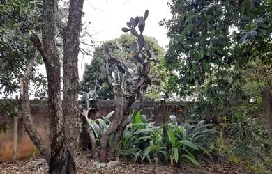 Imagem 12: Terreno à venda em Campinas, Parque Xangrilá, com 1000 m², Parque Xangrilá