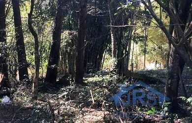 Imagem 16: Chácara à venda em Santana de Parnaíba, Sítio do Morro, com 3 quartos,...
