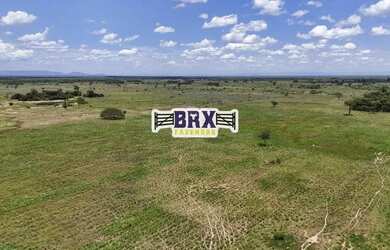 Imagem 9: Fazenda à venda ou arrendamento agrícola em Flores de Goiás
