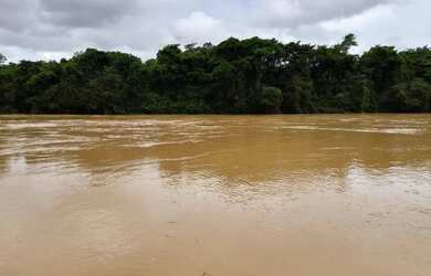 Imagem 3: Fazenda a venda em Davinópolis Goiás