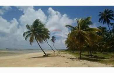 Imagem 6: Terreno Vista Mar em São Miguel dos Milagres, AL