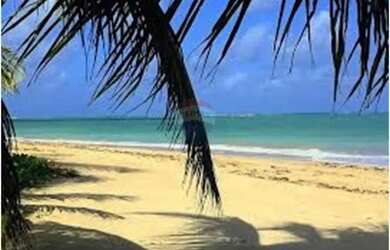 Imagem 7: Terreno Vista Mar em São Miguel dos Milagres, AL