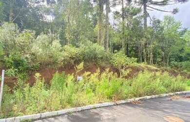 Imagem 5: Terreno - Bairro Dutra. Imóvel novoe450m² de Área