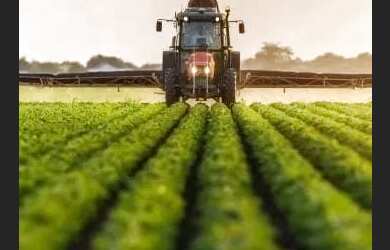 Imagem 10: VENDO FAZENDA 400 HECTARES LAVOURA SUL DE GOIAS 6217
